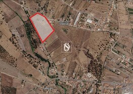 Terreno R�stico - Ponte de Sor, Ponte de Sor, Portalegre - Miniatura: 18/19
