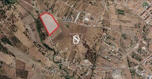 Terreno R�stico - Ponte de Sor, Ponte de Sor, Portalegre - Miniatura: 19/19