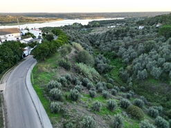 Terreno R�stico - Montargil, Ponte de Sor, Portalegre - Miniatura: 4/9