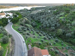Terreno R�stico - Montargil, Ponte de Sor, Portalegre - Miniatura: 5/9