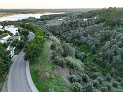 Terreno R�stico - Montargil, Ponte de Sor, Portalegre - Miniatura: 6/9