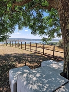 Terreno R�stico - Montargil, Ponte de Sor, Portalegre - Miniatura: 8/9