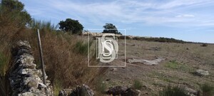 Terreno Rstico T0 - Alpalho, Nisa, Portalegre - Miniatura: 10/21