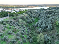 Terreno R�stico - Montargil, Ponte de Sor, Portalegre - Miniatura: 5/6