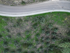 Terreno R�stico - Montargil, Ponte de Sor, Portalegre - Miniatura: 6/6