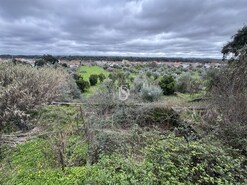 Quinta - Ponte de Sor, Ponte de Sor, Portalegre - Miniatura: 2/35