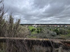 Quinta - Ponte de Sor, Ponte de Sor, Portalegre - Miniatura: 13/35