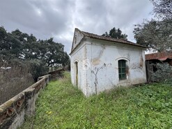 Quinta - Ponte de Sor, Ponte de Sor, Portalegre - Miniatura: 14/35
