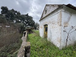 Quinta - Ponte de Sor, Ponte de Sor, Portalegre - Miniatura: 15/35
