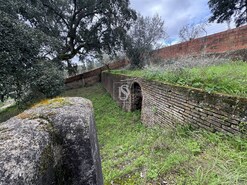 Quinta - Ponte de Sor, Ponte de Sor, Portalegre - Miniatura: 16/35