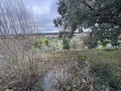 Quinta - Ponte de Sor, Ponte de Sor, Portalegre - Miniatura: 17/35
