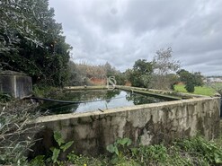 Quinta - Ponte de Sor, Ponte de Sor, Portalegre - Miniatura: 20/35