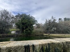 Quinta - Ponte de Sor, Ponte de Sor, Portalegre - Miniatura: 21/35