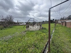 Quinta - Ponte de Sor, Ponte de Sor, Portalegre - Miniatura: 25/35