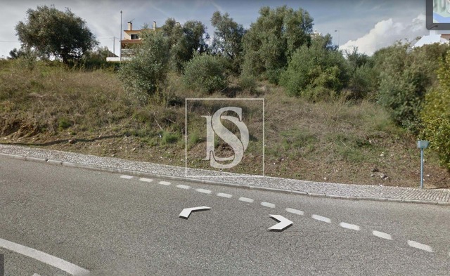 Terreno Rústico T0 - Abrantes, Abrantes, Santarém - Imagem grande