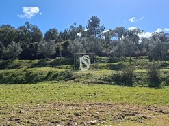 Quinta T5 - Comenda, Gavi�o, Portalegre - Miniatura: 1/38