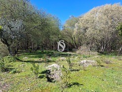 Quinta T5 - Comenda, Gavi�o, Portalegre - Miniatura: 26/38