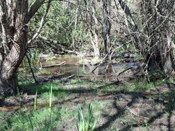 Quinta T5 - Comenda, Gavi�o, Portalegre - Miniatura: 27/38