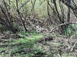 Quinta T5 - Comenda, Gavi�o, Portalegre - Miniatura: 28/38