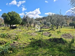 Quinta T5 - Comenda, Gavi�o, Portalegre - Miniatura: 29/38