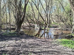 Quinta T5 - Comenda, Gavi�o, Portalegre - Miniatura: 30/38