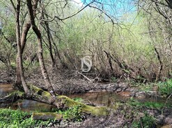 Quinta T5 - Comenda, Gavi�o, Portalegre - Miniatura: 31/38