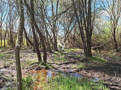 Quinta T5 - Comenda, Gavi�o, Portalegre - Miniatura: 32/38