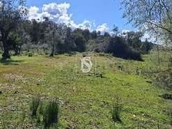 Quinta T5 - Comenda, Gavi�o, Portalegre - Miniatura: 33/38