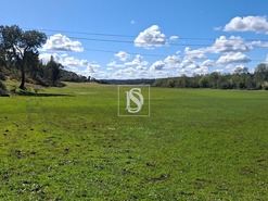 Quinta T5 - Comenda, Gavi�o, Portalegre - Miniatura: 34/38