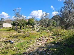 Quinta T5 - Comenda, Gavi�o, Portalegre - Miniatura: 35/38