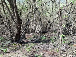 Quinta T5 - Comenda, Gavi�o, Portalegre - Miniatura: 36/38