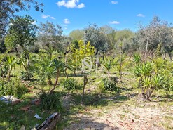 Quinta T5 - Comenda, Gavi�o, Portalegre - Miniatura: 38/38