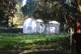 Terreno Rstico T0 - Abrantes, Abrantes, Santarm - Miniatura: 3/21