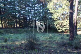 Terreno Rstico T0 - Abrantes, Abrantes, Santarm - Miniatura: 6/21