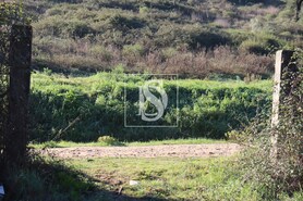 Terreno Rstico T0 - Abrantes, Abrantes, Santarm - Miniatura: 7/21