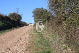 Terreno Rstico T0 - Abrantes, Abrantes, Santarm - Miniatura: 8/21