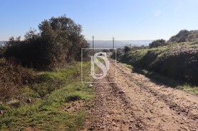 Terreno Rstico T0 - Abrantes, Abrantes, Santarm - Miniatura: 10/21
