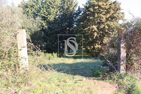 Terreno Rstico T0 - Abrantes, Abrantes, Santarm - Miniatura: 12/21