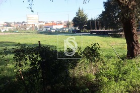 Terreno Rstico T0 - Abrantes, Abrantes, Santarm - Miniatura: 16/21