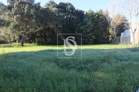 Terreno Rstico T0 - Abrantes, Abrantes, Santarm - Miniatura: 19/21