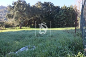 Terreno Rstico T0 - Abrantes, Abrantes, Santarm - Miniatura: 21/21