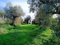 Moradia T3 - Abrantes, Abrantes, Santar�m - Miniatura: 22/29