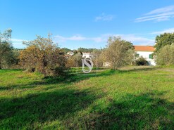 Moradia T3 - Abrantes, Abrantes, Santar�m - Miniatura: 24/29