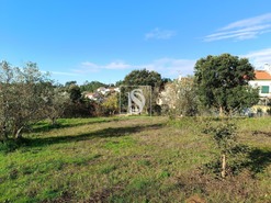 Moradia T3 - Abrantes, Abrantes, Santar�m - Miniatura: 25/29