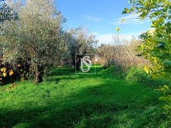 Moradia T3 - Abrantes, Abrantes, Santar�m - Miniatura: 29/29