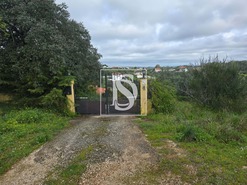 Quinta T3 - Assentiz, Torres Novas, Santarm - Miniatura: 12/17