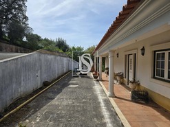 Quinta T3 - Assentiz, Torres Novas, Santarm - Miniatura: 6/22