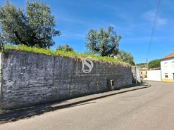 Terreno R�stico T0 - Valhascos, Sardoal, Santar�m - Miniatura: 1/10