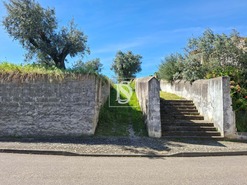 Terreno R�stico T0 - Valhascos, Sardoal, Santar�m - Miniatura: 2/10