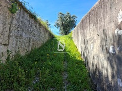 Terreno R�stico T0 - Valhascos, Sardoal, Santar�m - Miniatura: 3/10